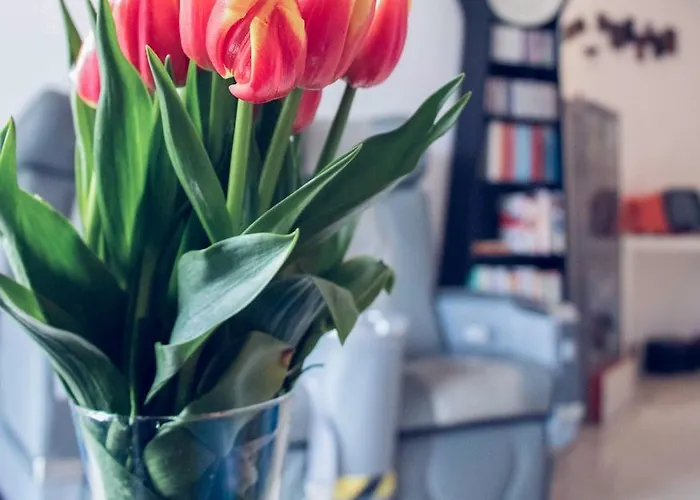 ゲストハウス Gallery ローマ