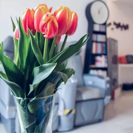 Pensjonat Gallery Rzym